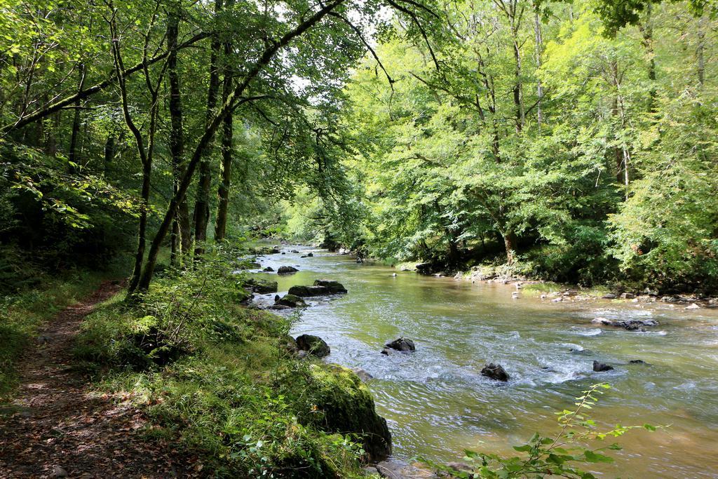 Chambres d’hôtes du Presbytère La Bastide-l'Eveque Esterno foto